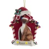 Cheap Kurt Adler Personalized Boxer In Dog House Ornament