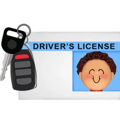 Best Sale Personalized Driver's License With Key Fob Ornament - Male, Brown Hair New Drivers