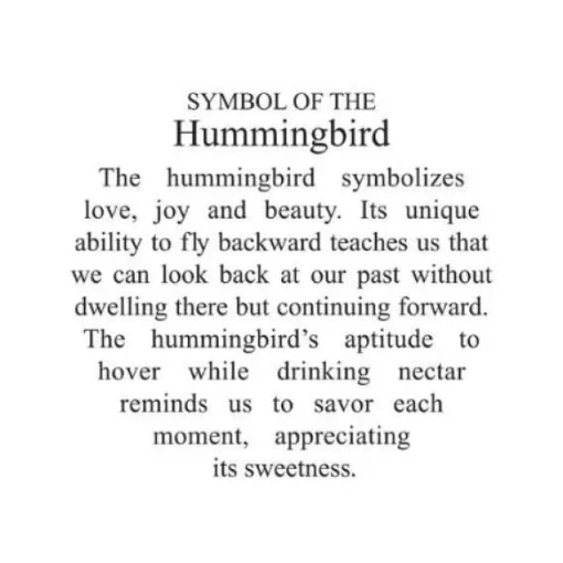 Fashion Personalized Symbol Of The Hummingbird Glass Bulb Ornament Animals